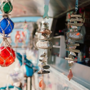 Seashell Collecting Guidebook