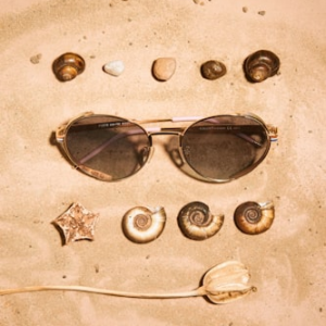 Marine Life Identification Cards